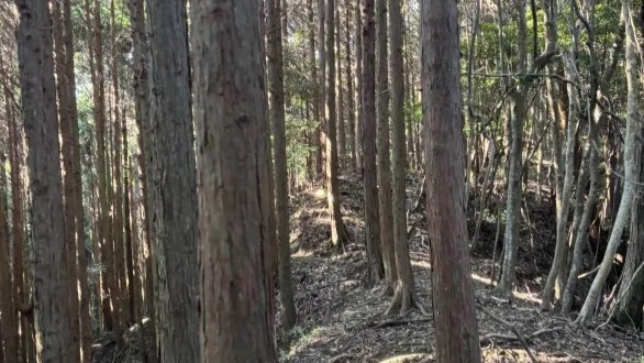 地形図サンプル